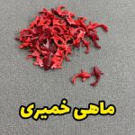 ماهی خمیری