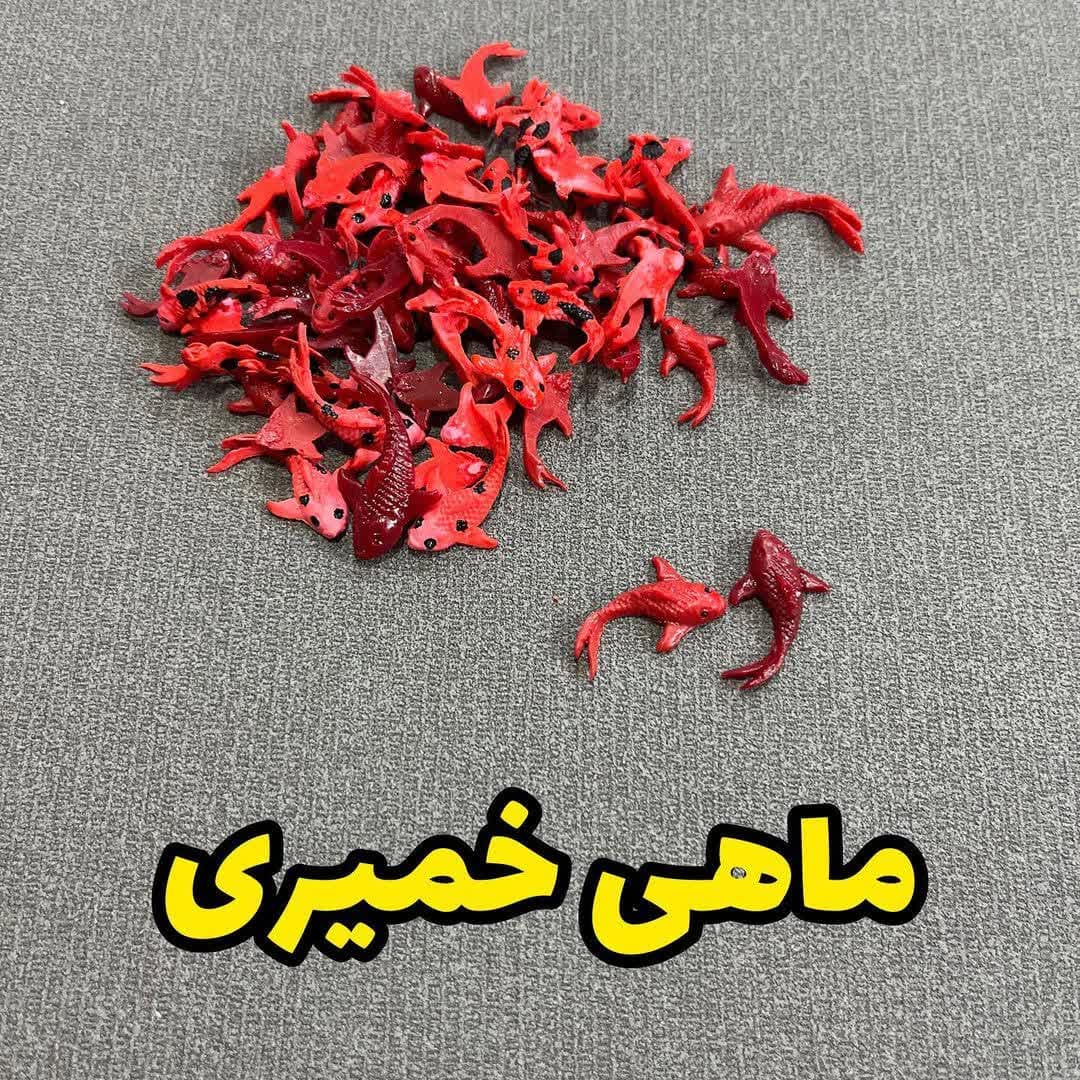 photo_2025-02-18_09-01-47 ماهی خمیری - Image 1